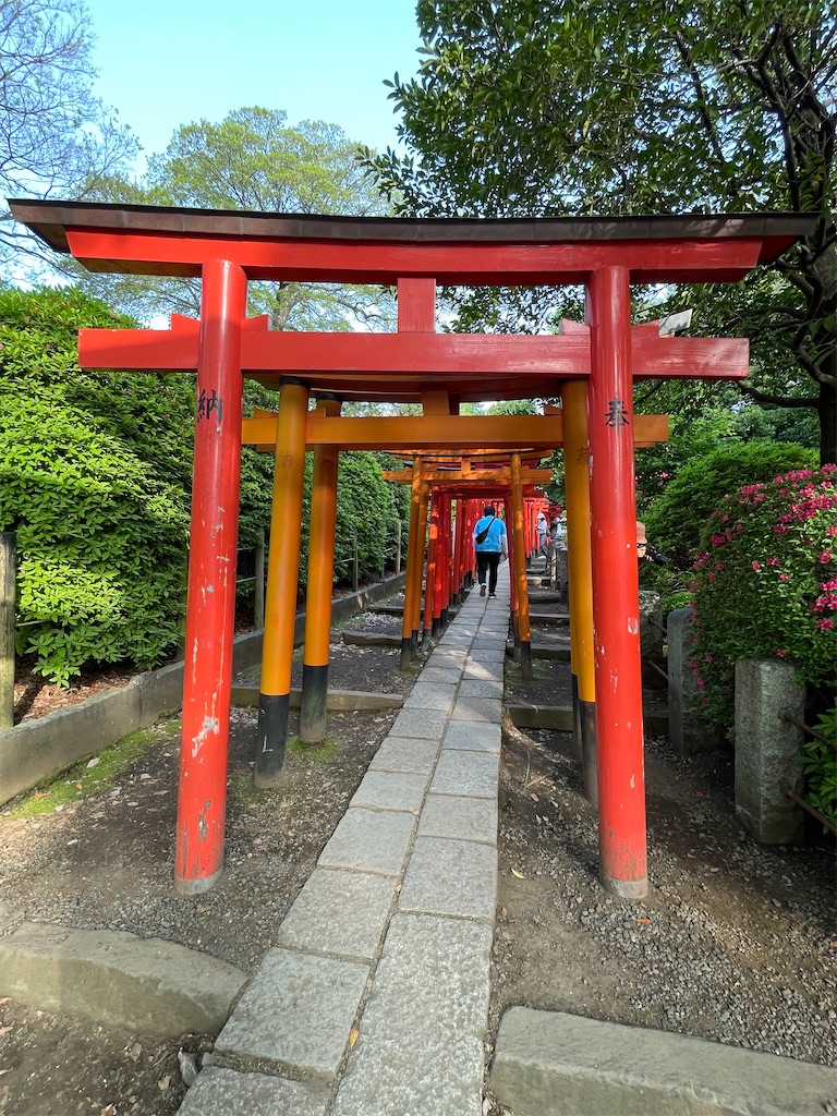 f:id:TokuheiKumagai:20250419094143j:image
