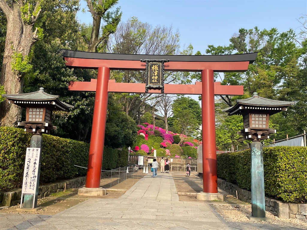 f:id:TokuheiKumagai:20250419094202j:image