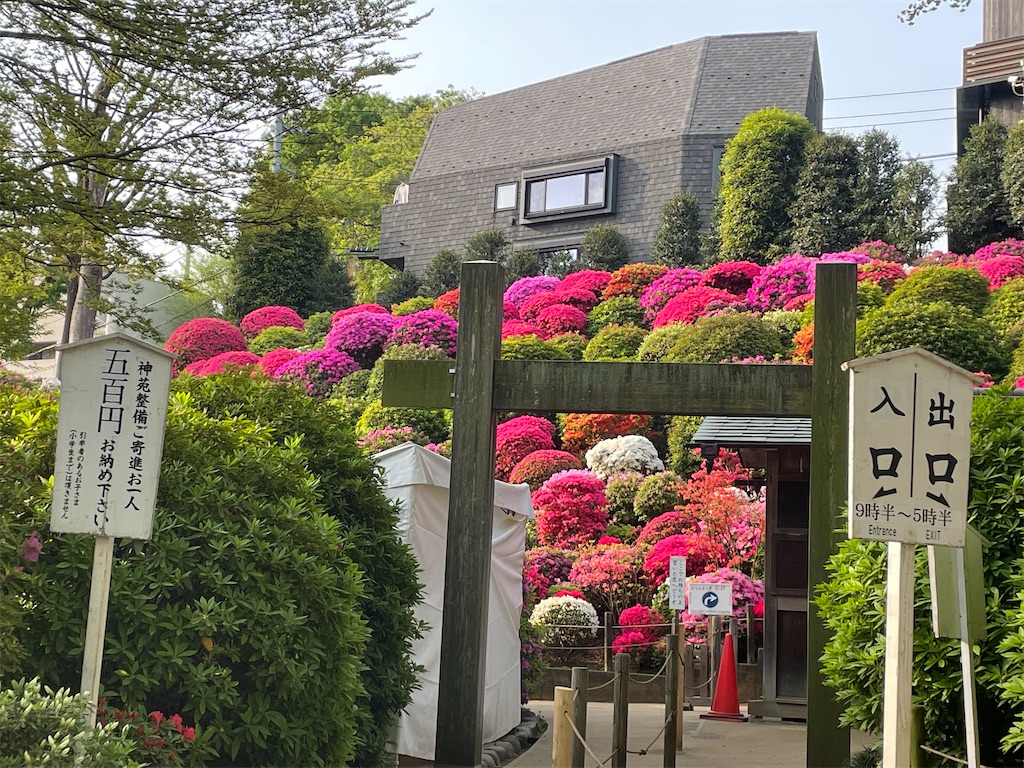 f:id:TokuheiKumagai:20250419095151j:image