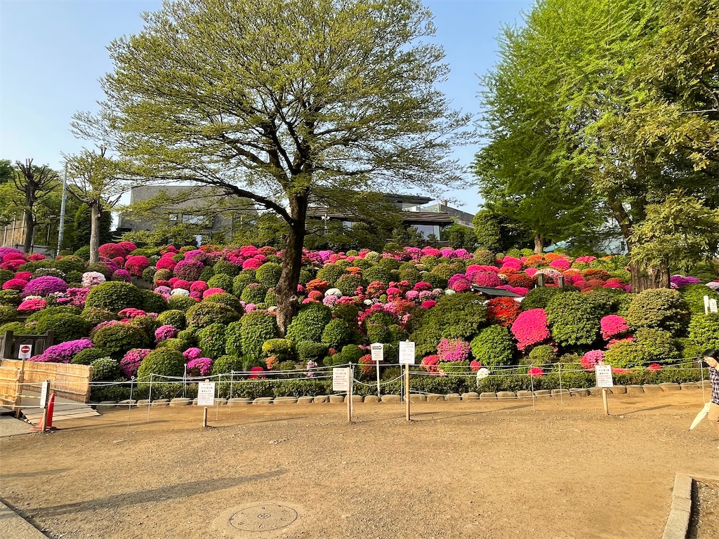 f:id:TokuheiKumagai:20250419095154j:image