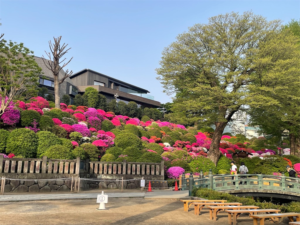 f:id:TokuheiKumagai:20250419100252j:image