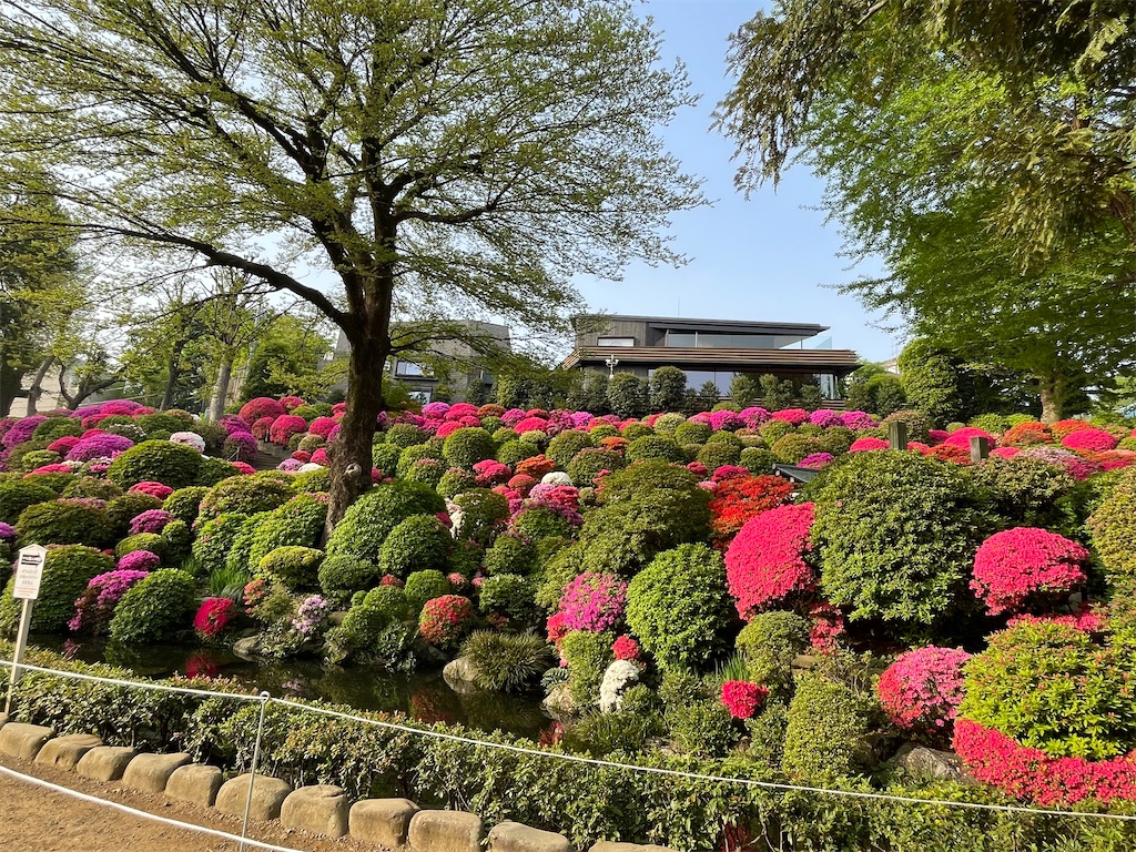 f:id:TokuheiKumagai:20250419100256j:image