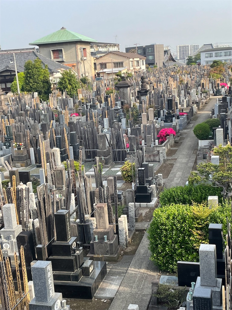 f:id:TokuheiKumagai:20250419100419j:image
