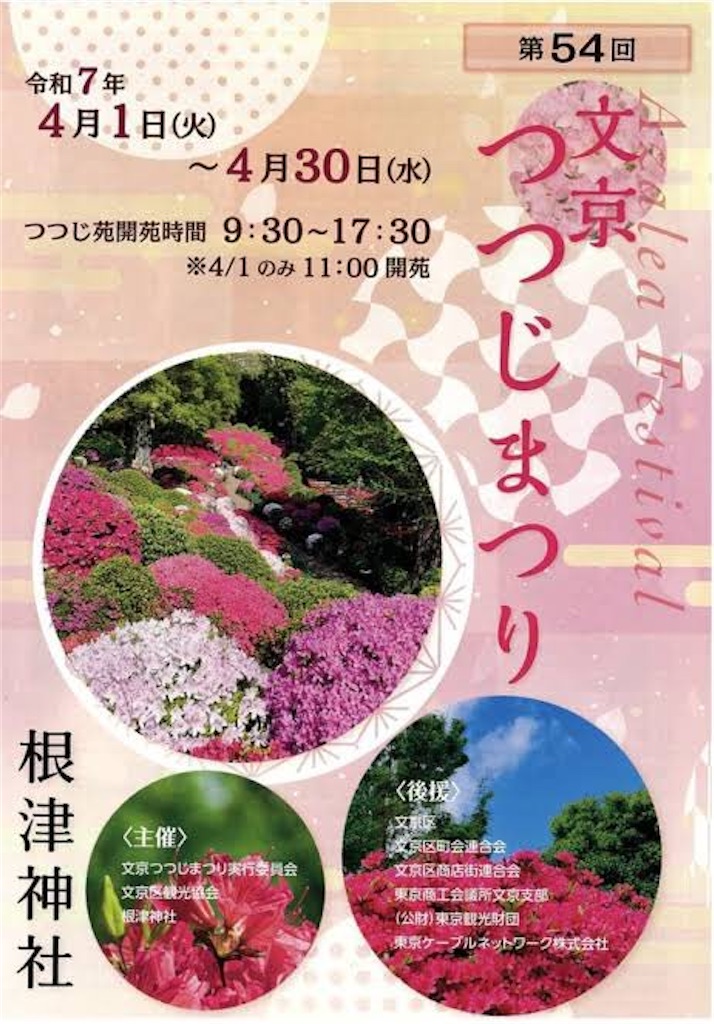 f:id:TokuheiKumagai:20250419112816j:image