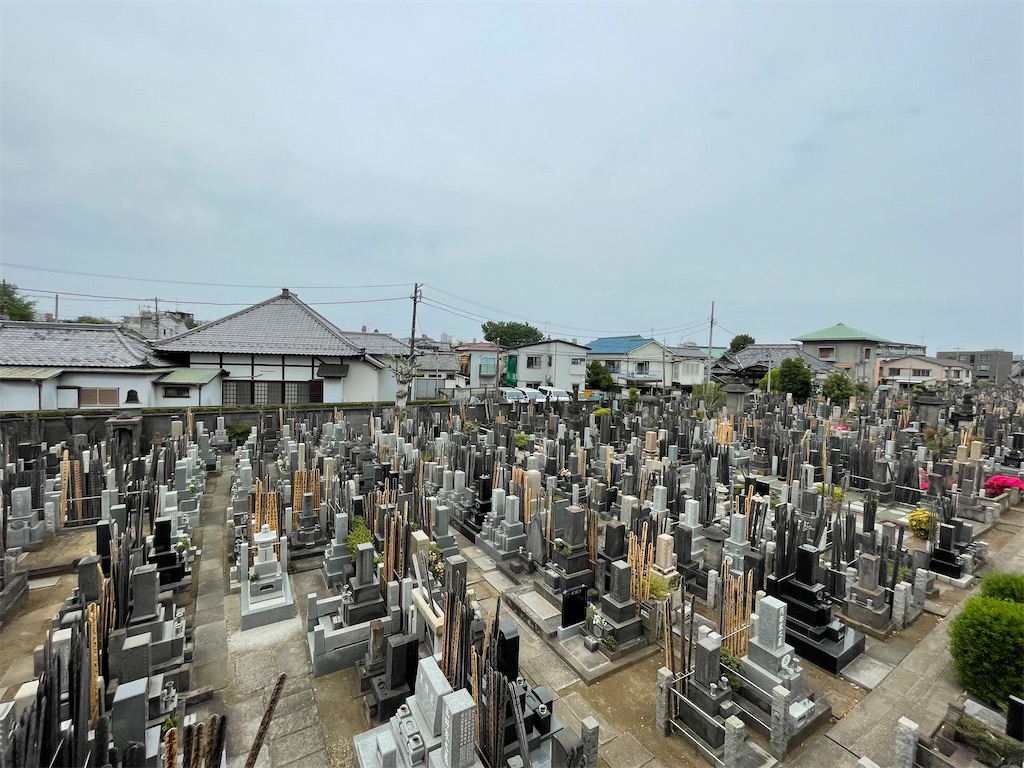f:id:TokuheiKumagai:20250420140306j:image