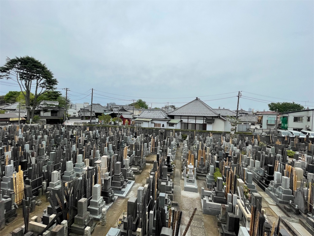 f:id:TokuheiKumagai:20250420140313j:image