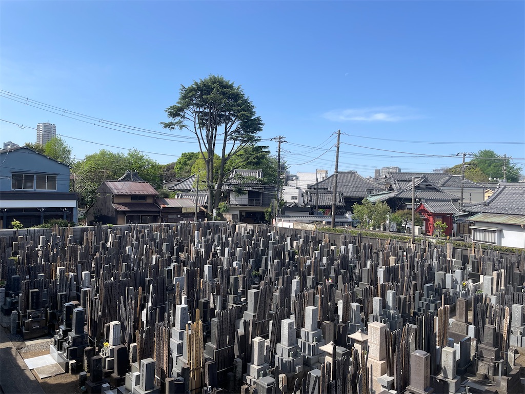 f:id:TokuheiKumagai:20250421094618j:image