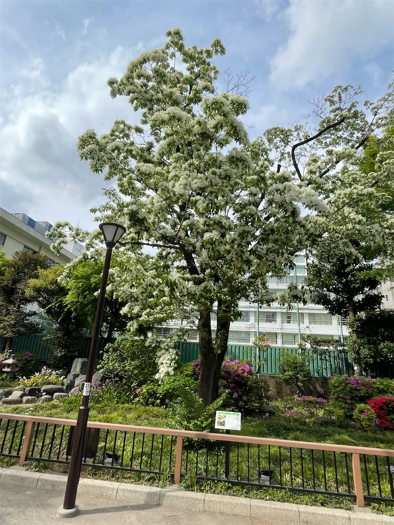 f:id:TokuheiKumagai:20250422175512j:image