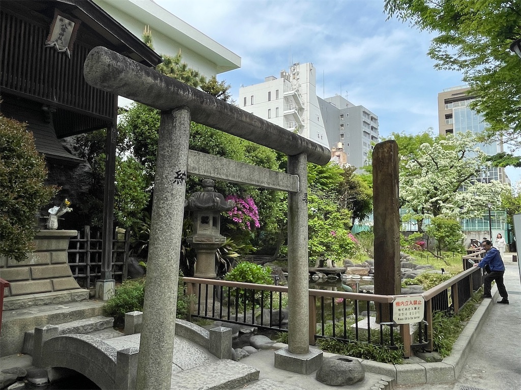 f:id:TokuheiKumagai:20250422175519j:image