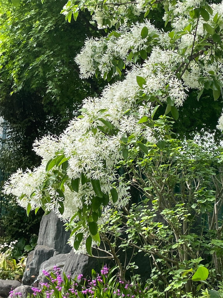 f:id:TokuheiKumagai:20250422175523j:image
