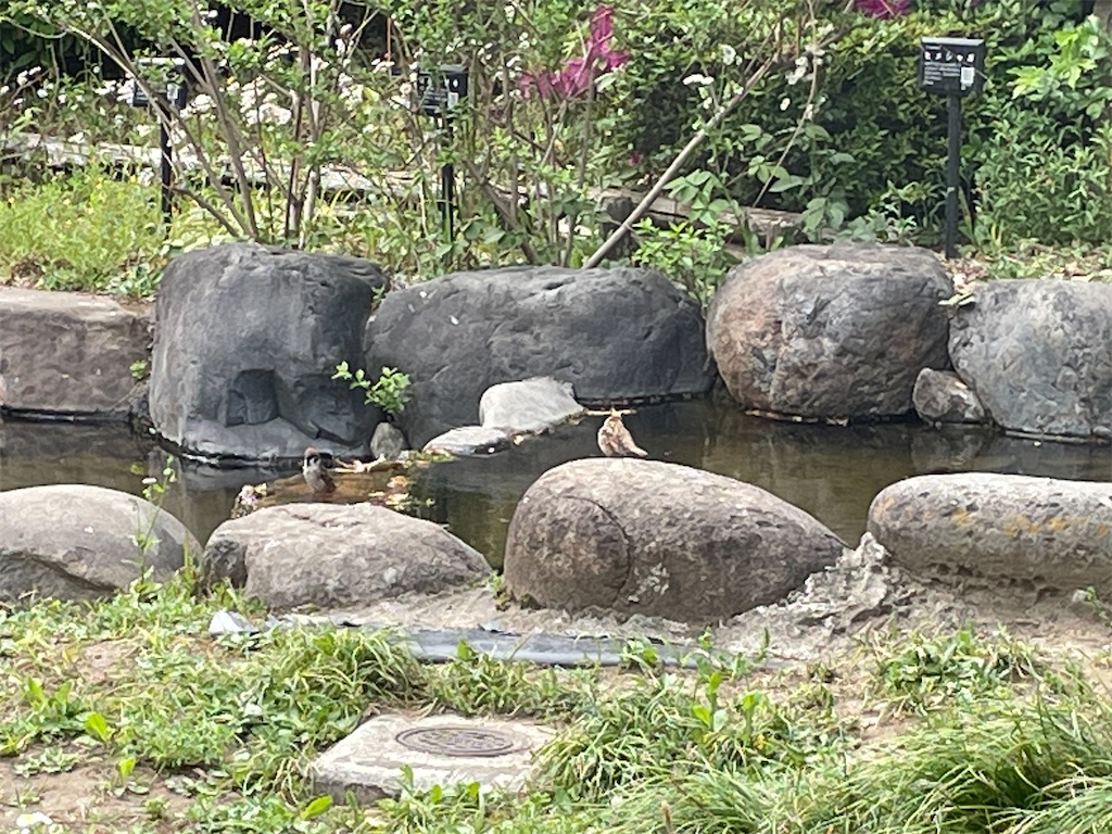 f:id:TokuheiKumagai:20250422175528j:image