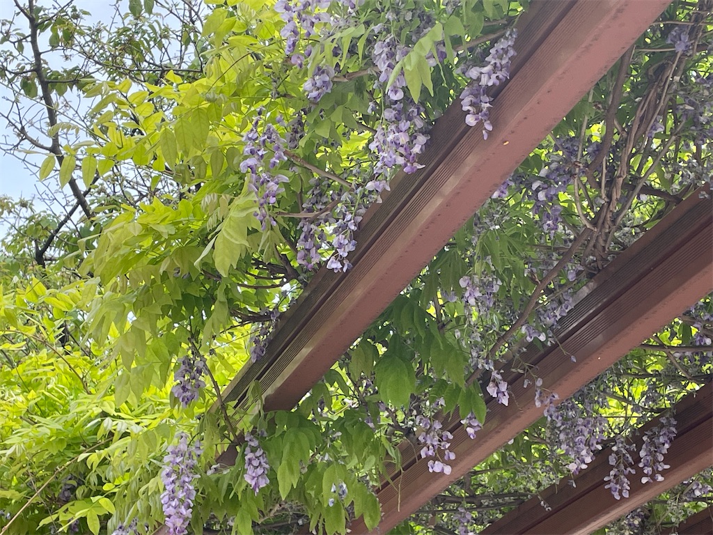 f:id:TokuheiKumagai:20250422175534j:image