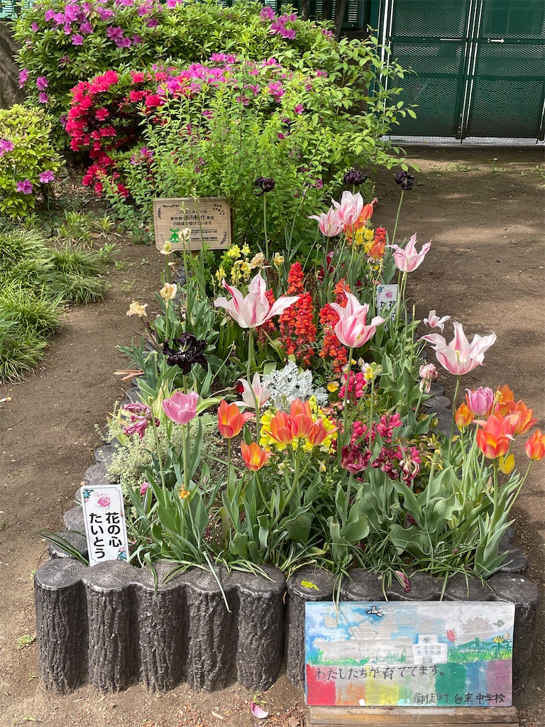 f:id:TokuheiKumagai:20250422175546j:image
