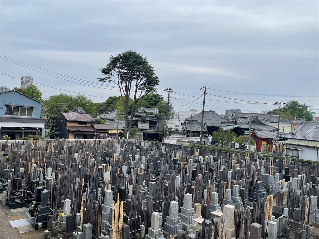 f:id:TokuheiKumagai:20250422175725j:image