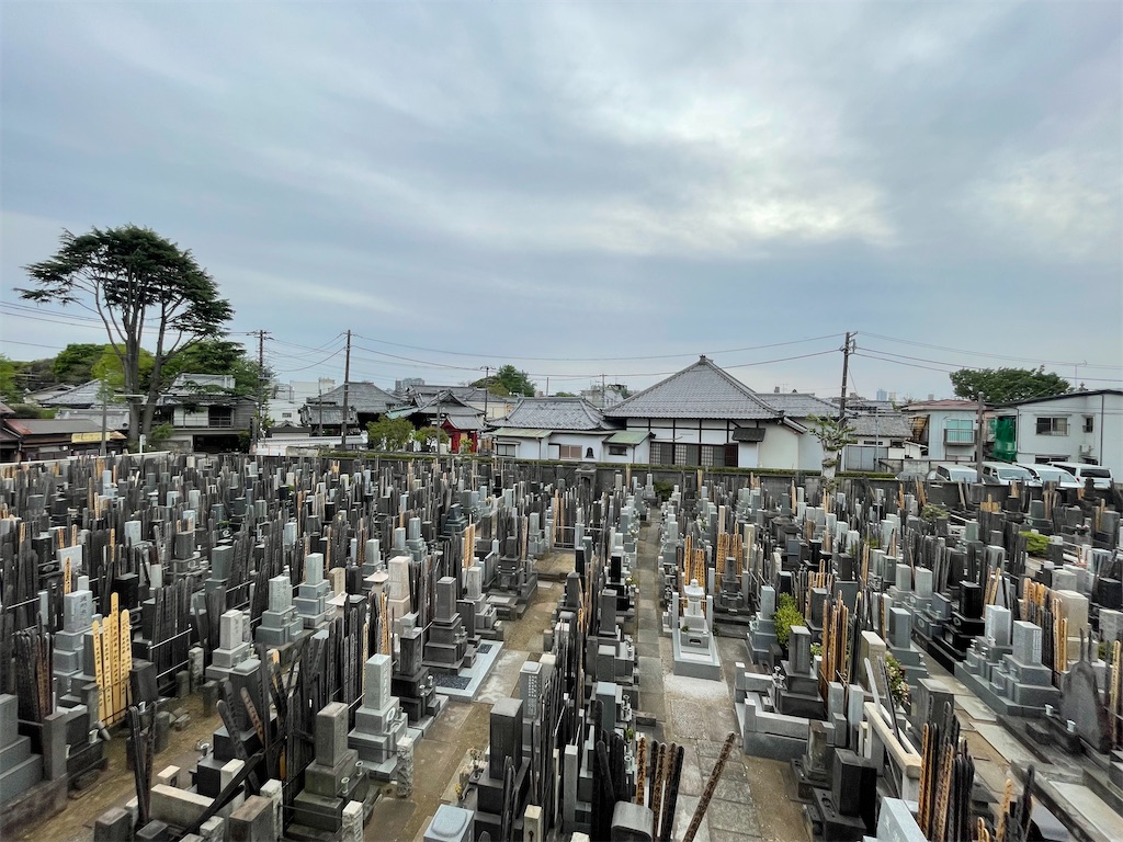 f:id:TokuheiKumagai:20250422175736j:image