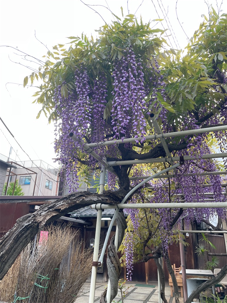 f:id:TokuheiKumagai:20250422175800j:image