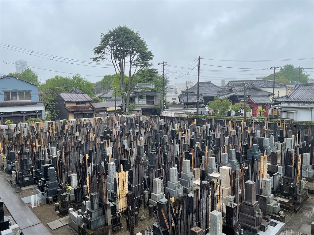 f:id:TokuheiKumagai:20250423122725j:image