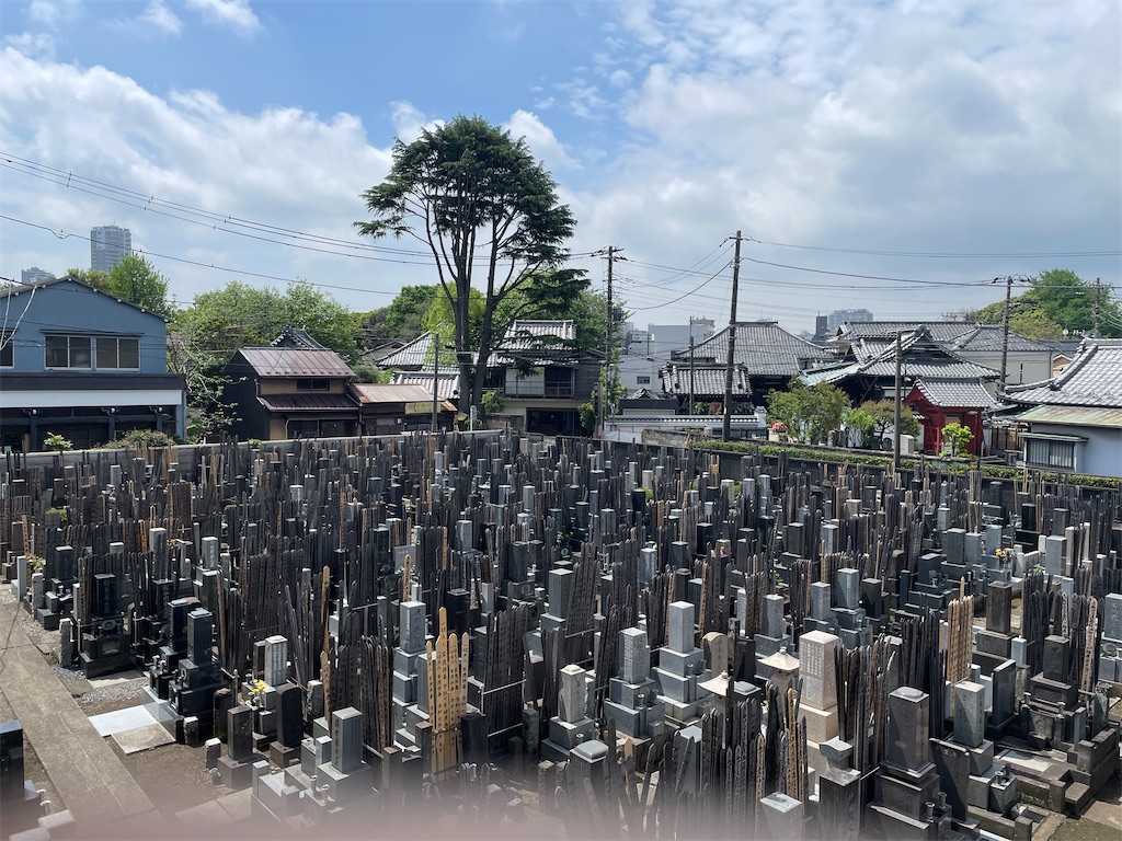 f:id:TokuheiKumagai:20250424145638j:image