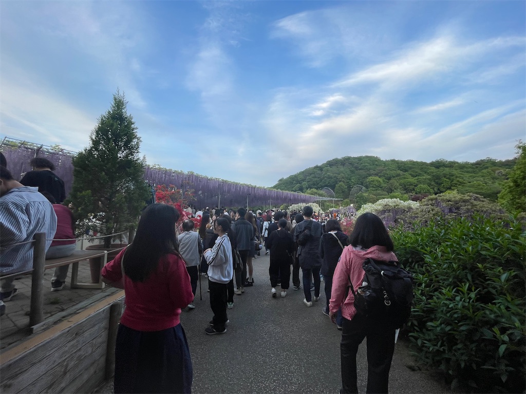 f:id:TokuheiKumagai:20250428011637j:image