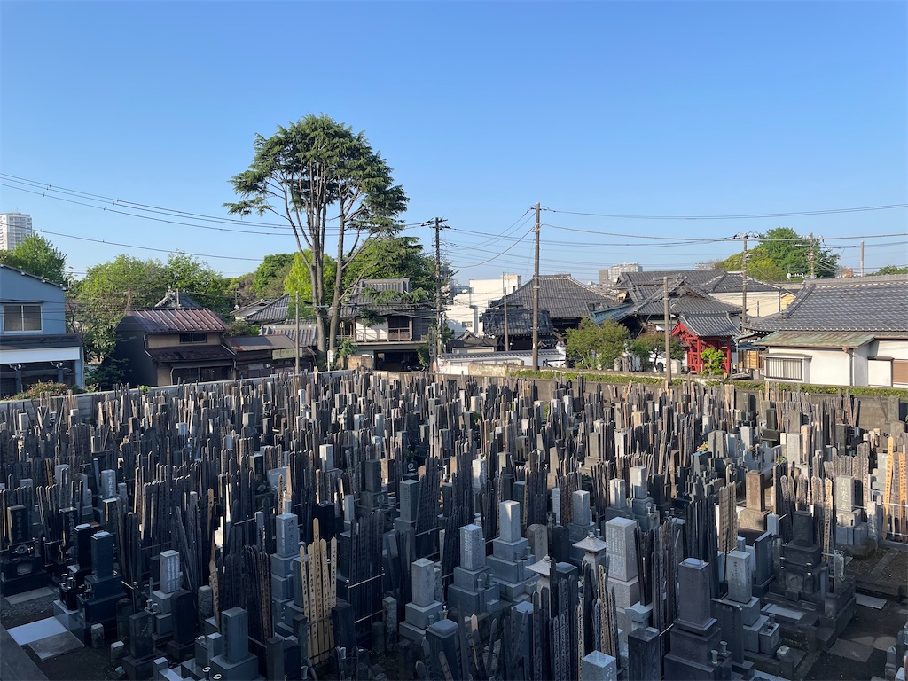 f:id:TokuheiKumagai:20250428011825j:image