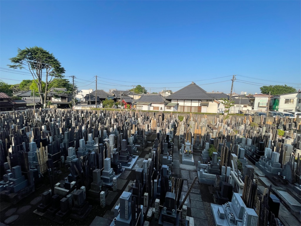 f:id:TokuheiKumagai:20250428072208j:image