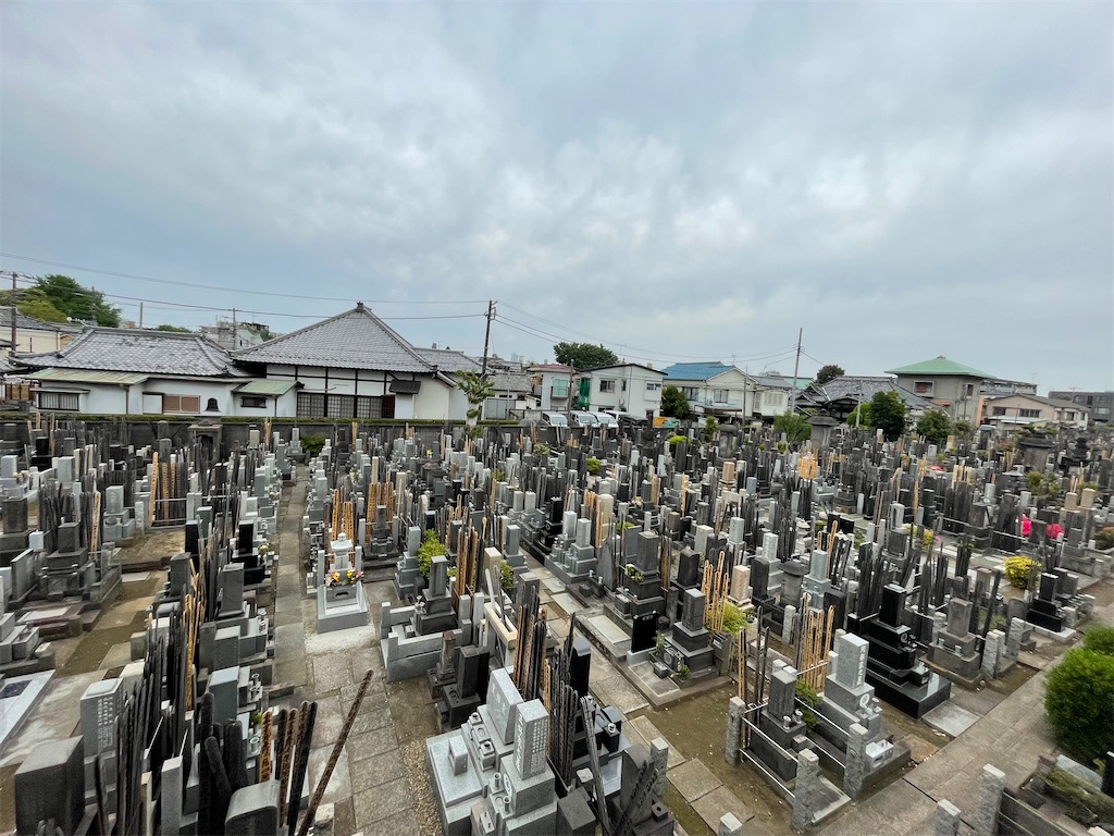 f:id:TokuheiKumagai:20250428205003j:image