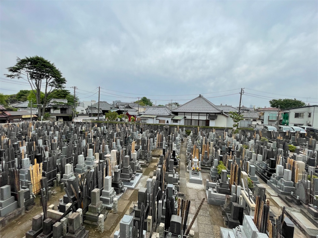 f:id:TokuheiKumagai:20250428205010j:image