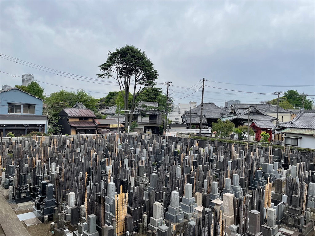 f:id:TokuheiKumagai:20250428205016j:image