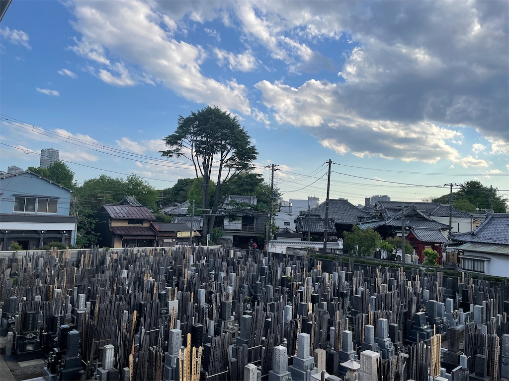 f:id:TokuheiKumagai:20250429164335j:image