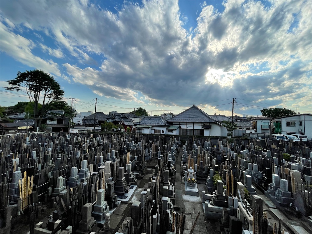 f:id:TokuheiKumagai:20250429164401j:image