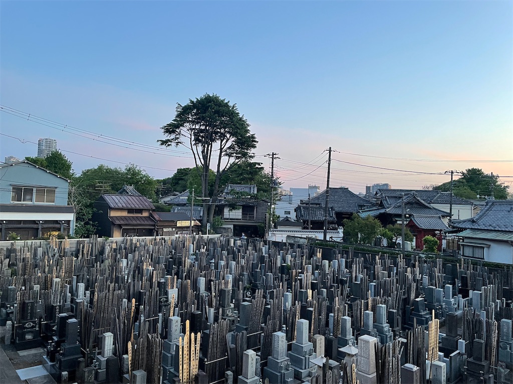 f:id:TokuheiKumagai:20250430183722j:image