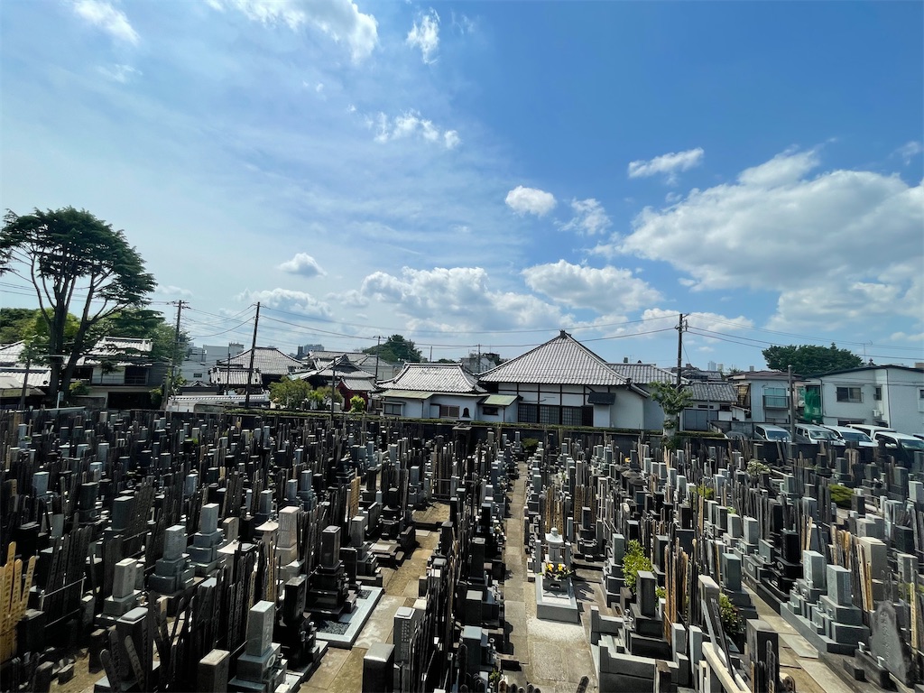 f:id:TokuheiKumagai:20250501144955j:image