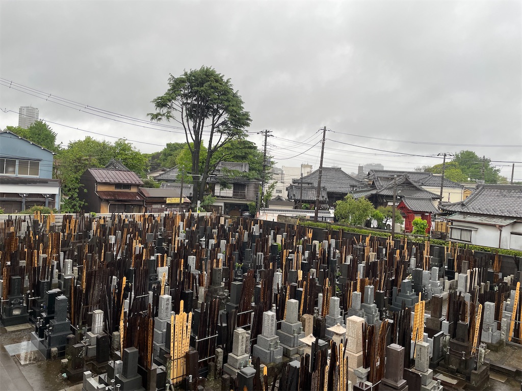 f:id:TokuheiKumagai:20250502163532j:image