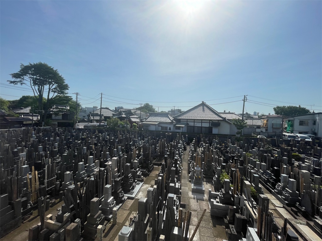 f:id:TokuheiKumagai:20250503145550j:image