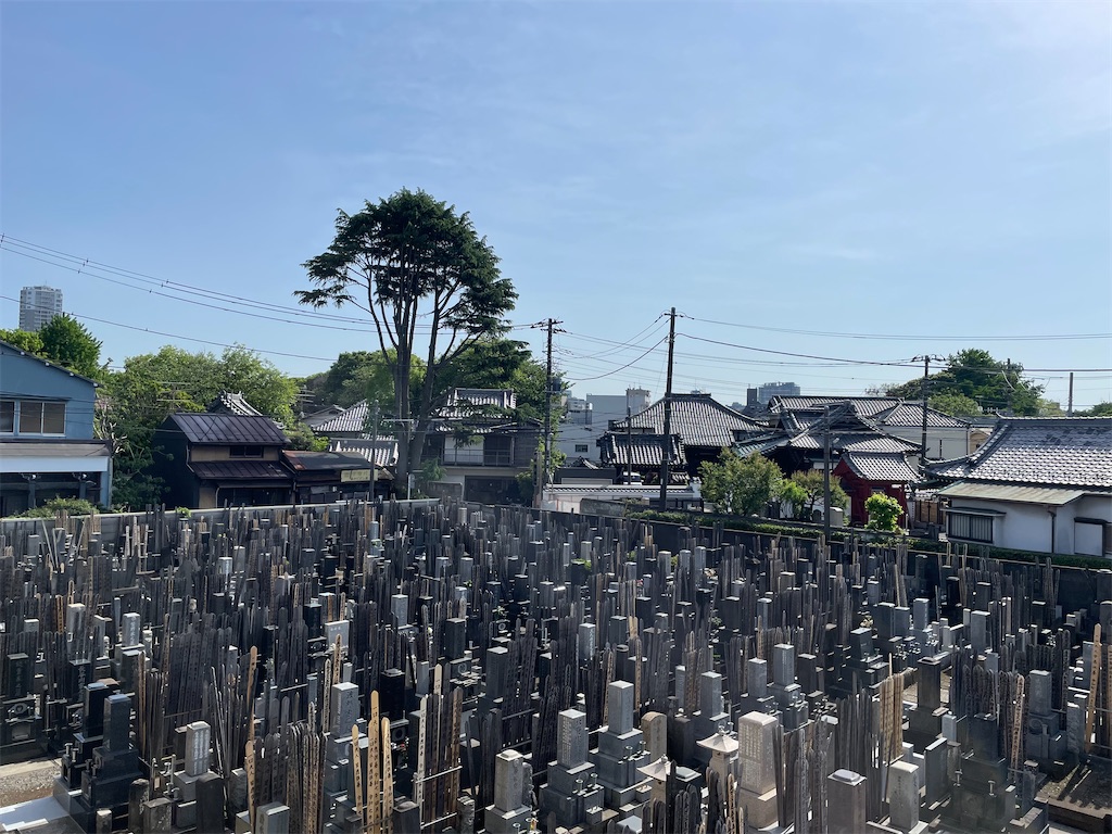 f:id:TokuheiKumagai:20250503145555j:image