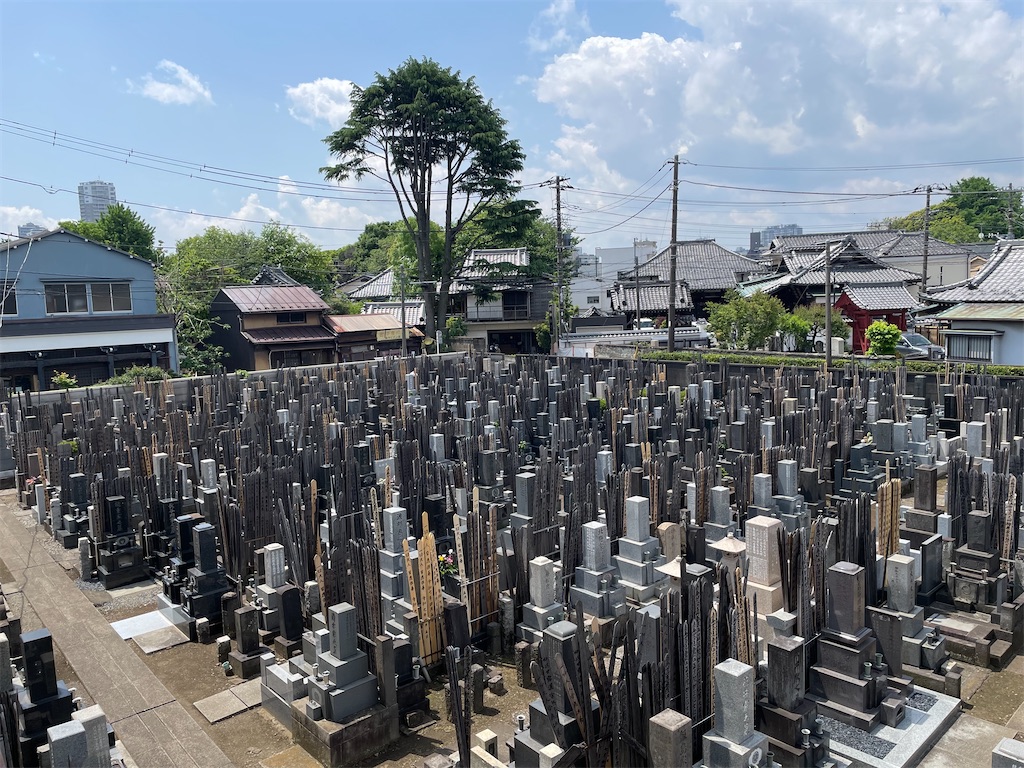 f:id:TokuheiKumagai:20250505203302j:image