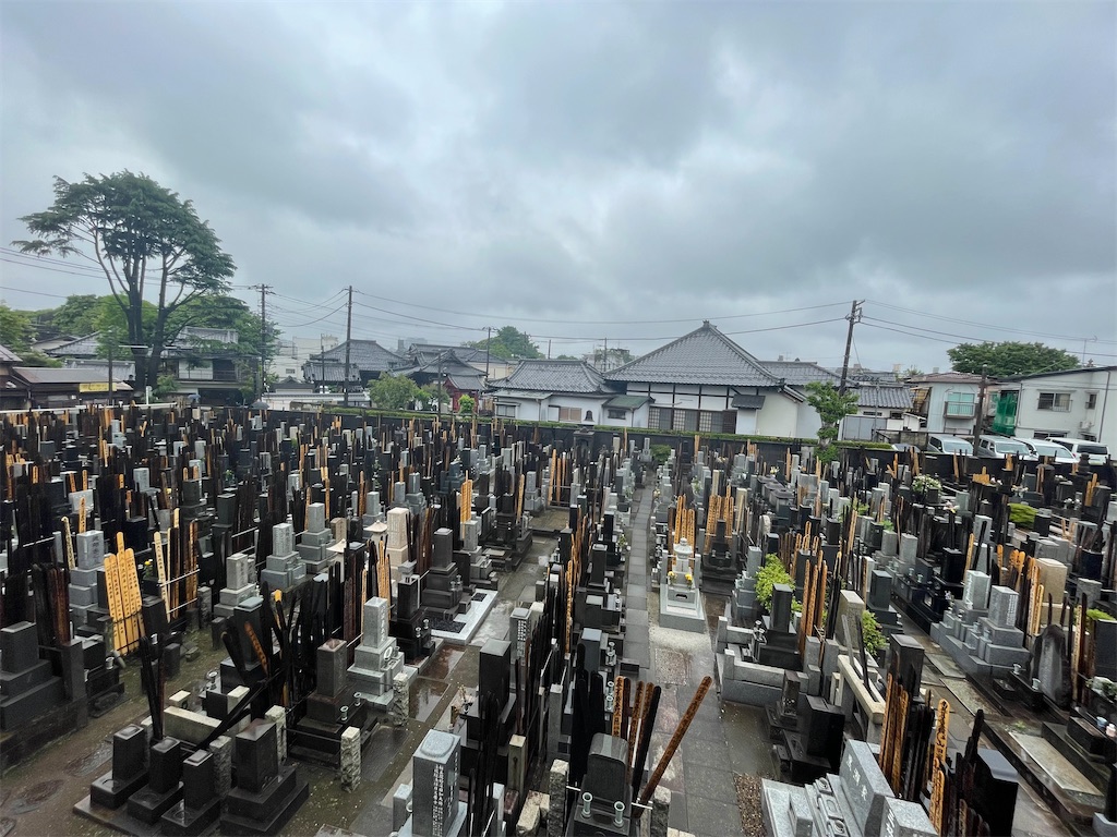 f:id:TokuheiKumagai:20250506194957j:image