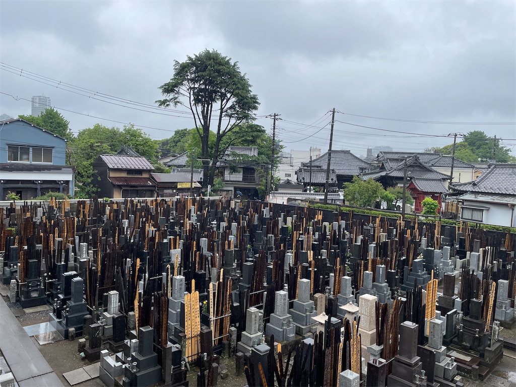 f:id:TokuheiKumagai:20250506195002j:image