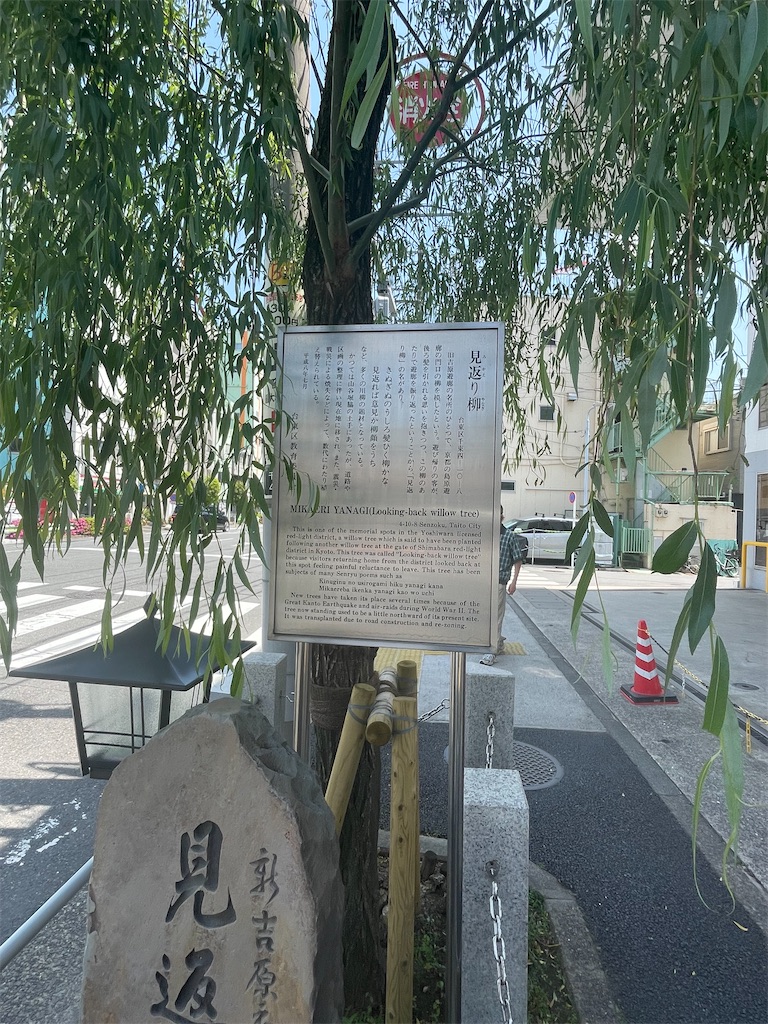 f:id:TokuheiKumagai:20250506200137j:image