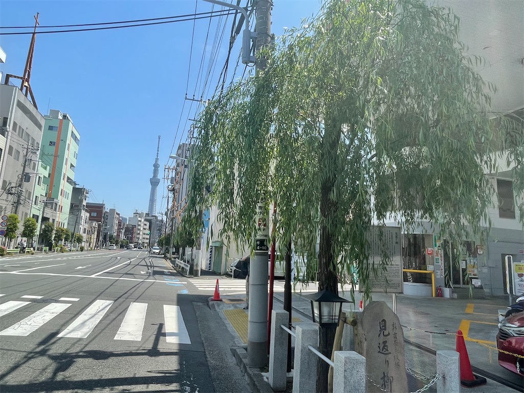 f:id:TokuheiKumagai:20250506200146j:image