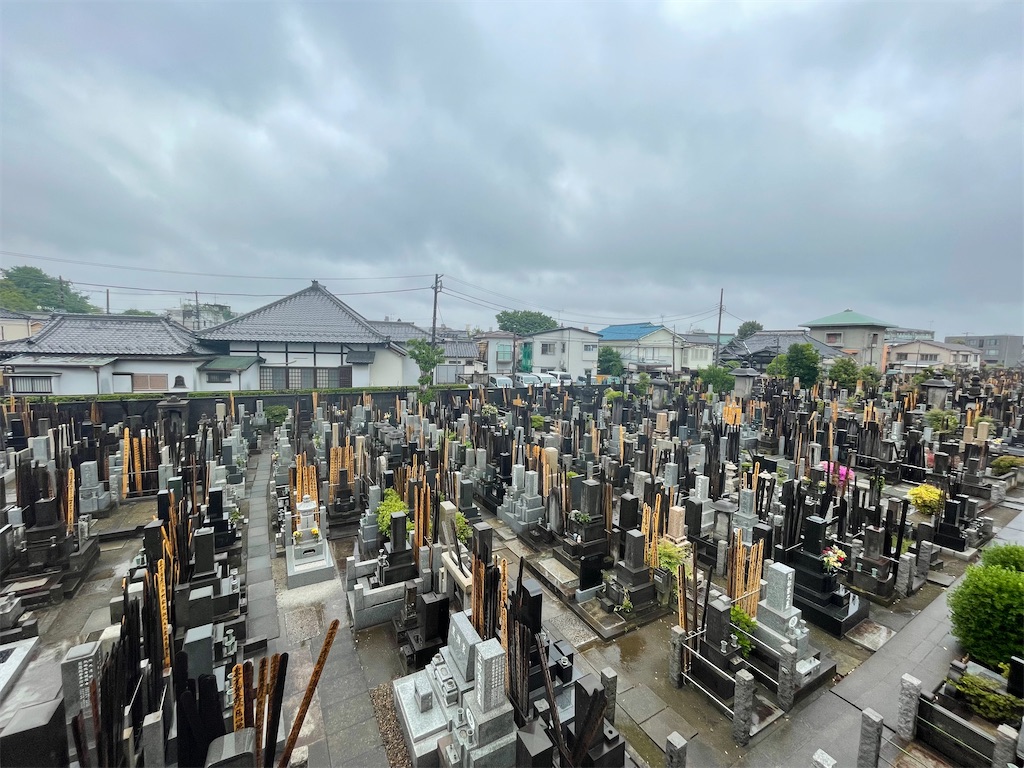 f:id:TokuheiKumagai:20250506200519j:image