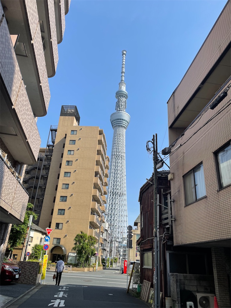 f:id:TokuheiKumagai:20250506202125j:image