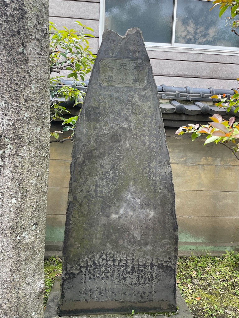 f:id:TokuheiKumagai:20250506205529j:image