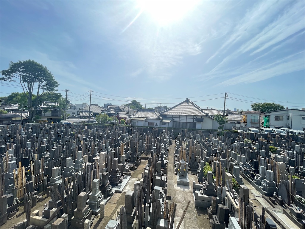 f:id:TokuheiKumagai:20250507150739j:image