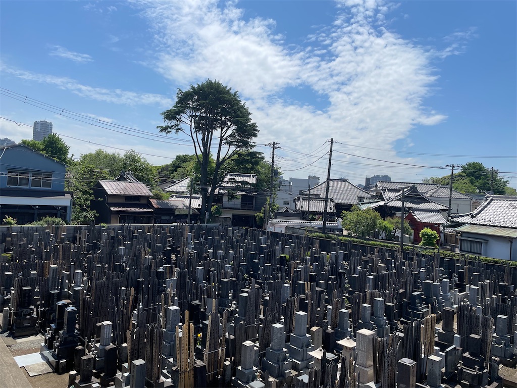f:id:TokuheiKumagai:20250508121247j:image