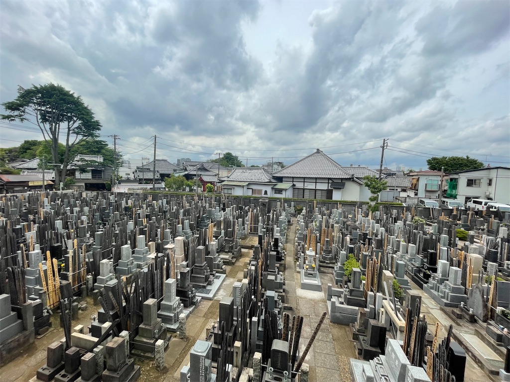 f:id:TokuheiKumagai:20250509190332j:image