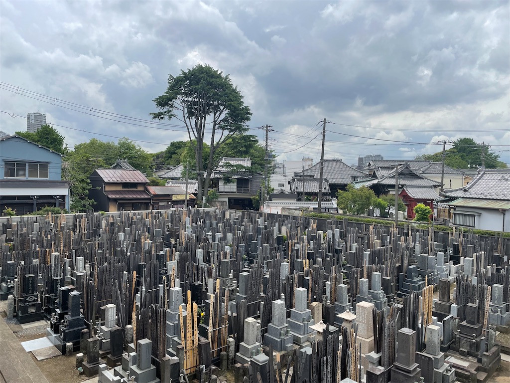 f:id:TokuheiKumagai:20250509190337j:image