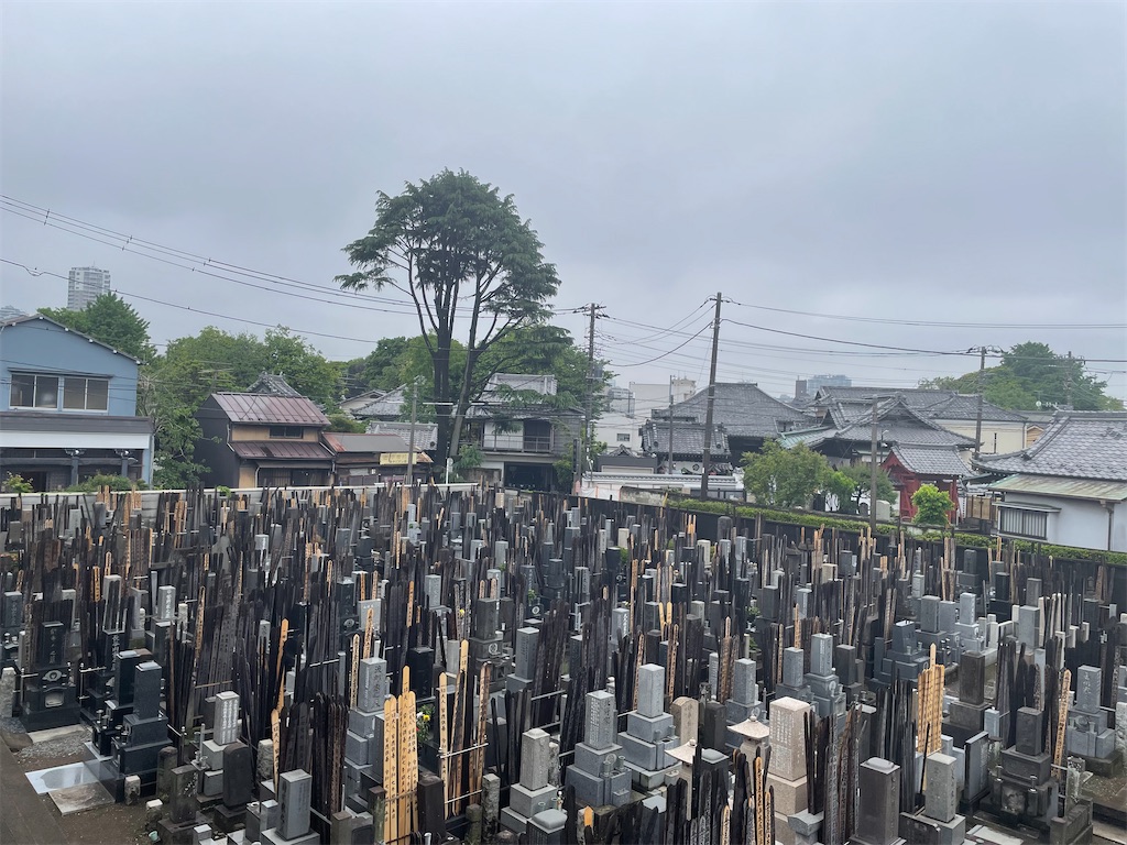 f:id:TokuheiKumagai:20250510192614j:image