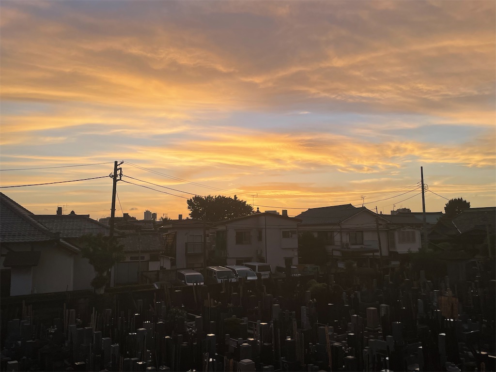 f:id:TokuheiKumagai:20250510192621j:image