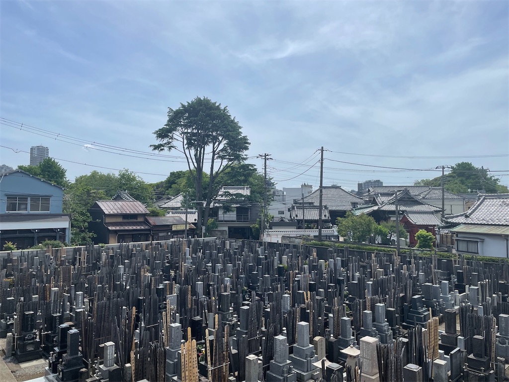 f:id:TokuheiKumagai:20250511193216j:image